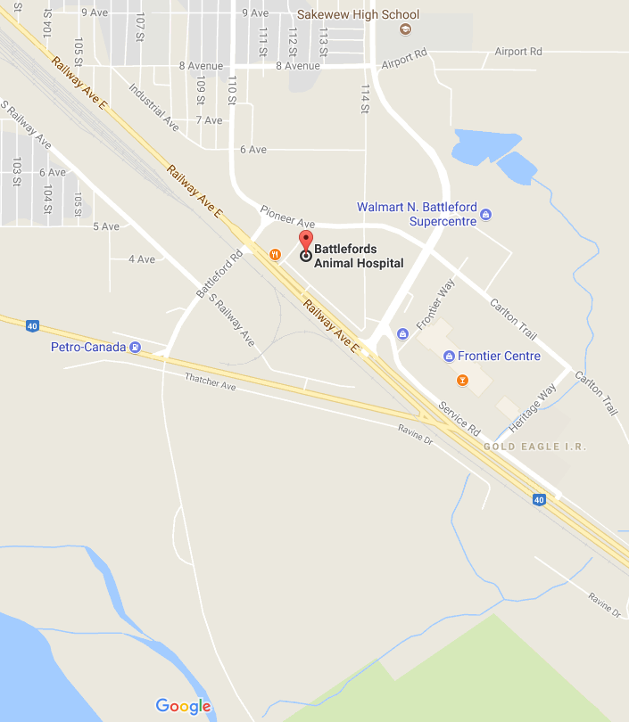 Contact Us Battlefords Animal Hospital North Battleford, SK